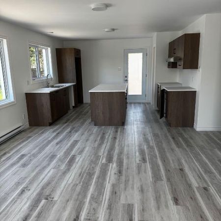 Magnifique 4 1/2 Nouvelle Construction - Photo 4