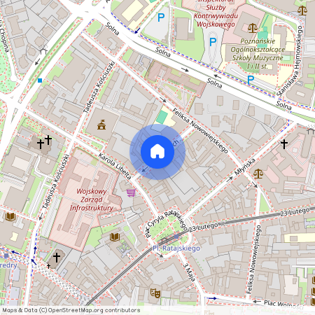 ul. Działyńskich, Centrum, Stare Miasto, Poznań, wielkopolskie