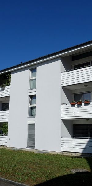 Appartement de 4.5 pièces au rez-de-chaussée - Photo 1