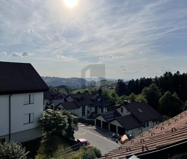 STUNNING VIEW OF THE APPENZELLER LAND - Photo 4