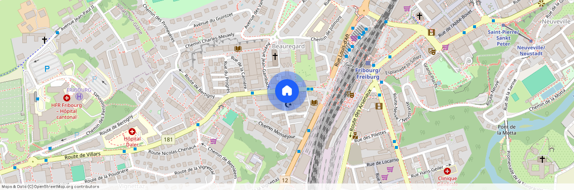 Avenue de Beauregard 12, 1700, Fribourg