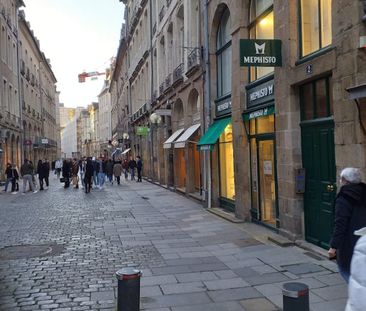 Location Appartement 1 pièce 29m² RENNES 35000 - Photo 2