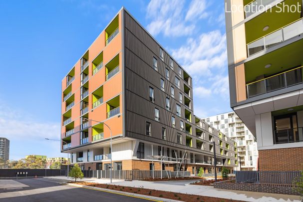 GF/12 Letitia Street, Zetland NSW 2017 - Apartment For Rent | Domain - Photo 1