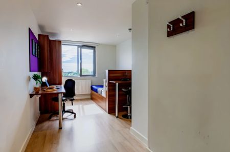 Standard Plus Studio - Photo 3