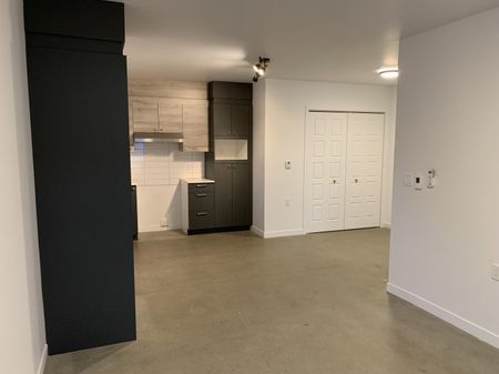 3630-102 rue Imelda-Lefebvre, Sherbrooke, Libre pour Janvier 2026 - Photo 5