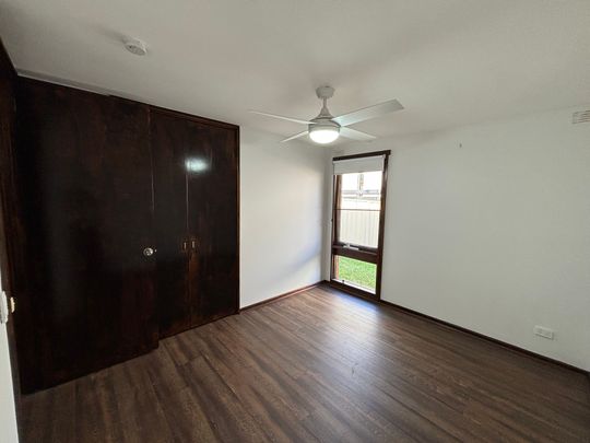 Elegant Elder - Photo 1