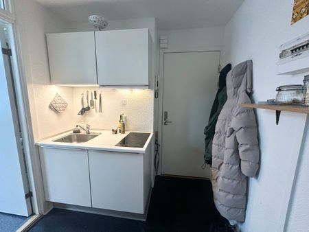 Renoveret lejlighed med 2 værelser i Aalborgs centrum - Photo 5