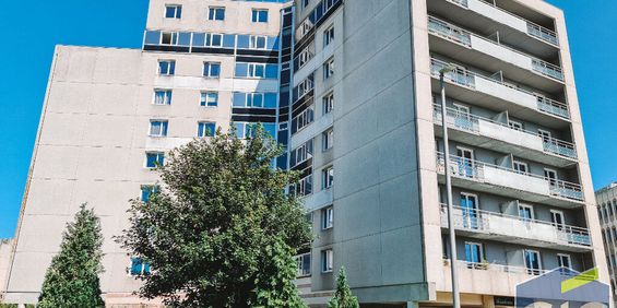 Location Appartement 1 pièce 18m² - Photo 3