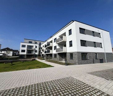 Welcome HoMe in Menglinghausen - Foto 5