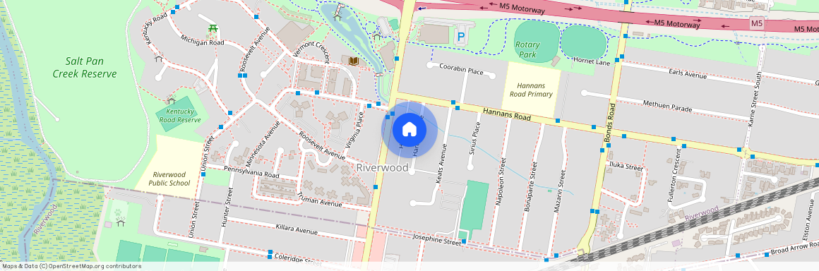 15 Hardy Avenue Riverwood, NSW 2210