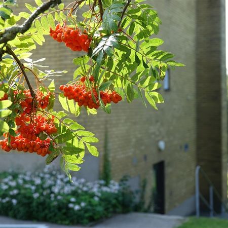 Nillas Väg 1 A - Foto 3