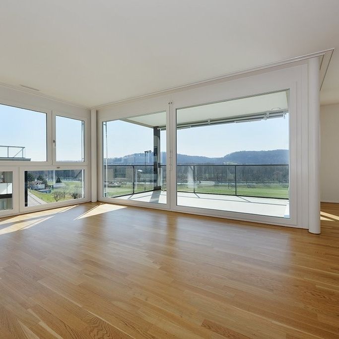 Rent a 4 ½ rooms apartment in Erlinsbach - Foto 1