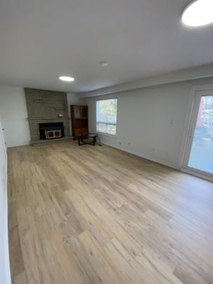 For Lease - 3635 Bluestream Crescent Unit# Lower, Mississauga, Ontario - Photo 1