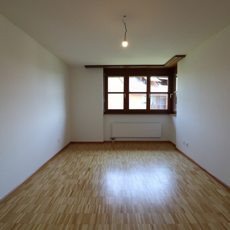 Im beliebten Freuler-Quartier - frisch teilsanierte Maisonette-Dachwohnung mit 2 Balkonen - Foto 1