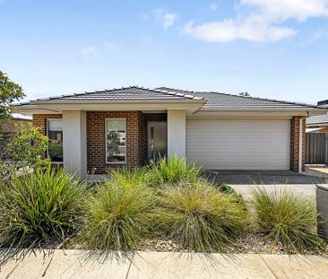 Comfortable Family Living - Jackass Flat - Photo 6