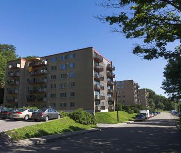 6 1/2 SILLERY PLAZA - PROMENADE CHAMPLAIN- janvier 2026 - Photo 4