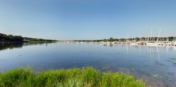 3 bedroom detached house to rent - Photo 3