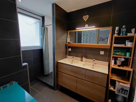 Location Appartement 2 pièces 62m² VILLEURBANNE 69100 - Photo 3