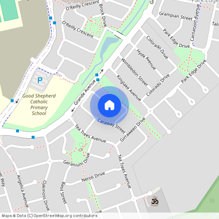 59 Caraway Street, Qld 4300, Springfield Lakes