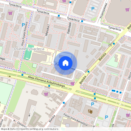 ul. Piasta Kołodzieja, Płock, mazowieckie