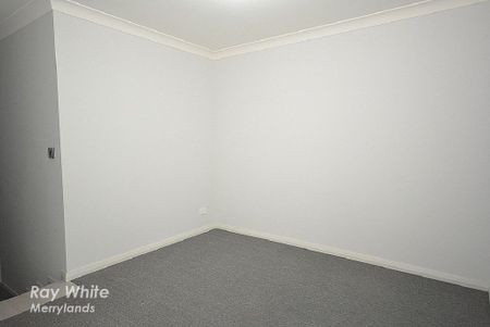 MODERN MAGIC - Photo 5