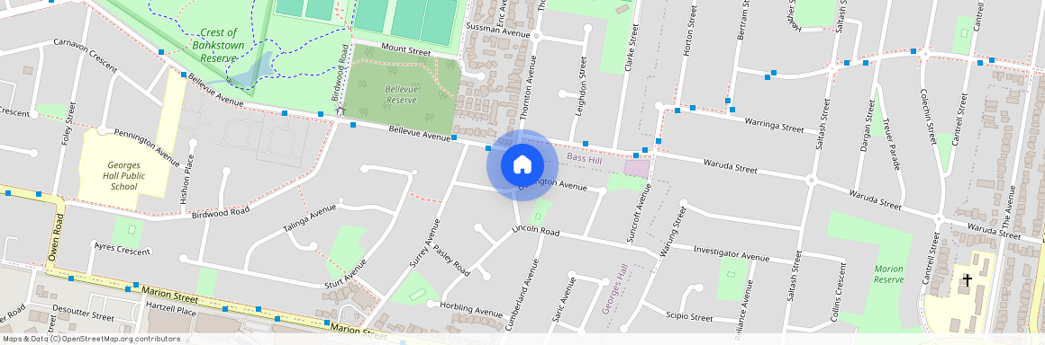 14 Donington Ave, New South Wales, NSW 2198, Georges Hall