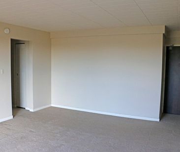Sun Ray Manor - Photo 3