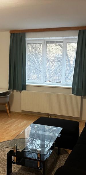 Möbliertes Appartement zu vermieten - Inklusive Heizung/Strom - Photo 1