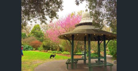 FULLY FURNISHED SPACIOUS RENOVATED STUDIO - PRIME ST KILDA LOCATION - Photo 2