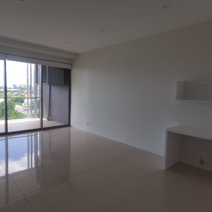 Spacious Living, Gourmet Kitchen AND Roof Deck entertainment area - Photo 1