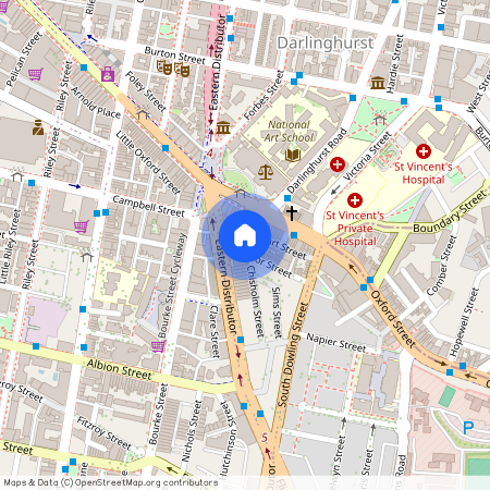 14 Taylor Street, Darlinghurst 2010, New South Wales