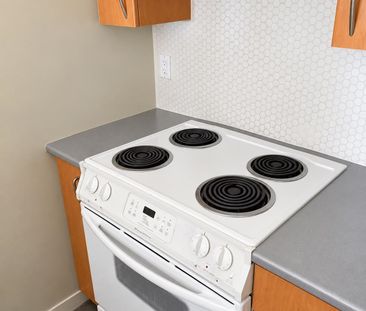 1295 Richards Street #15xx, Vancouver, BC V6B1B7 - Photo 3