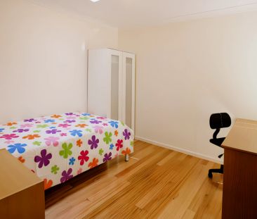 SH1 Small/Medium - Photo 2