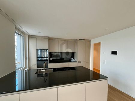 FIRST-USE: LARGE BALCONY, VIEW OF THE ÜETLIBERG - Photo 3