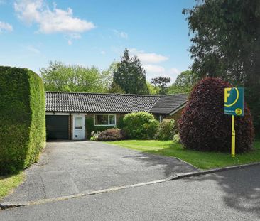 3 bedroom bungalow to rent - Photo 5