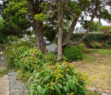 11 Greenhill Avenue, Wakari, Dunedin City - Photo 4