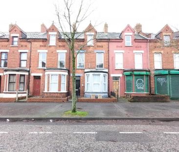 Room 1 To Let, 17b Rugby Avenue, Belfast, BT7 1RD - Photo 2