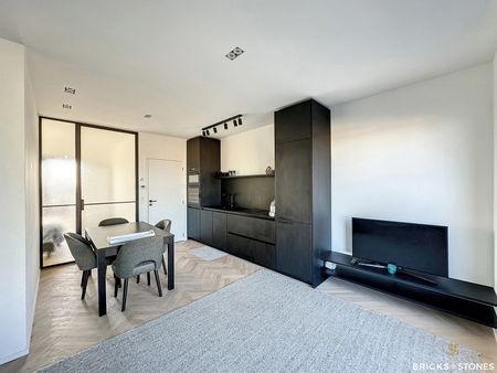 Penthouse met fenomenaal uitzicht over het park, de Vlaamse Kaai - Foto 2