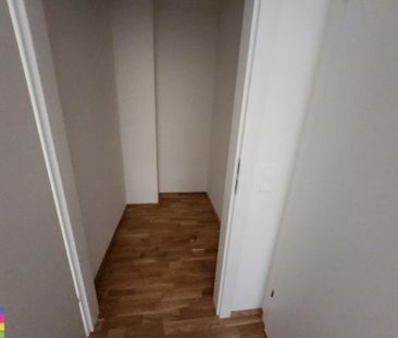 MIETKAUF IM GRÜNEN MAX! TOP LAGE! - Photo 2