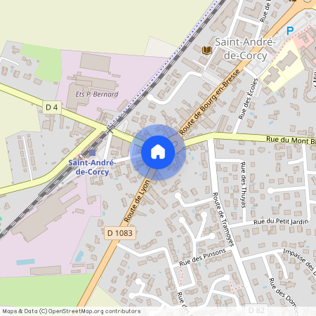 01390, Saint Andre De Corcy