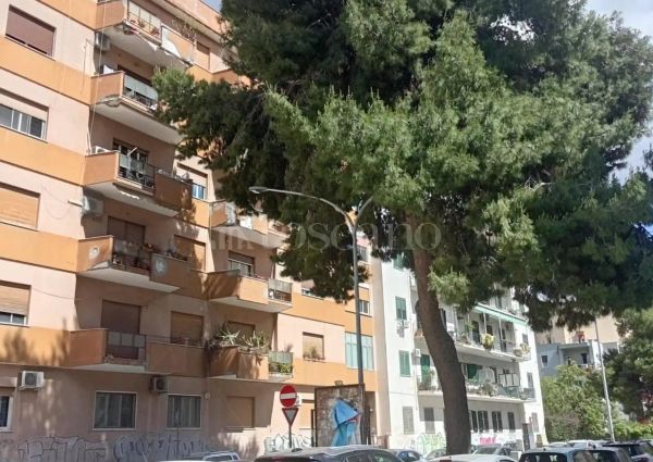 Casa in affitto - Via Abruzzi, Palermo (rif. 12/2026)