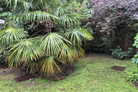 Bedroom Ground Floor Maisonette In Guildford, GU1 - Photo 5