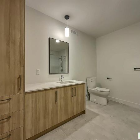 Appartement / Condo - Grand 3 1/2 / stationnement intérieur inclus / 1 mois payé - Photo 4