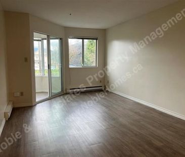 1567 East Broadway 205 Vancouver - Photo 3