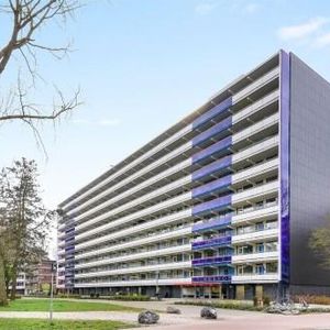 Spinnekop, 1035 CK Amsterdam, Nederland - Photo 2