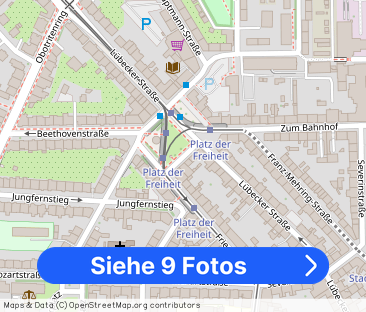 Ansprechende möblierte Wohnung im Herzen der Schweriner Paulsstadt - Foto 1
