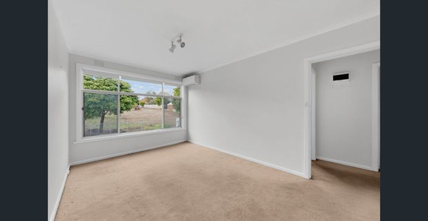 Bright & Low-Maintenance Living in a Prime Glen Iris Pocket - Photo 1