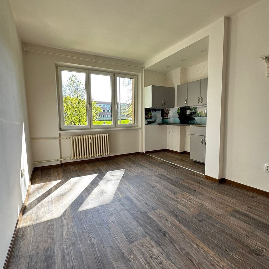 Pronájem bytu 1+kk a garsoniéry 23 m², Gen. Sochora 1260, Ostrava - Photo 1