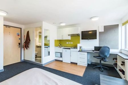 Extra Large Studio - Photo 5