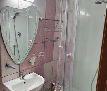 Apartament cu 1 camera, decomandat, zona Alexandru Cel Bun - Photo 4